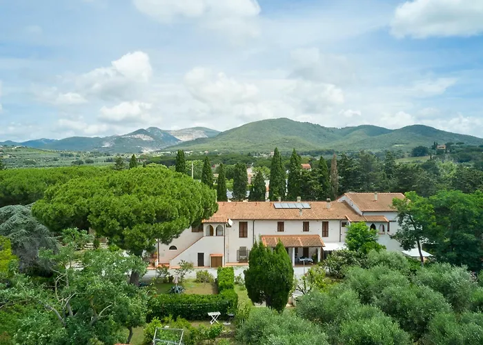Villa Antichi Palmenti - Rosmarino San Vincenzo